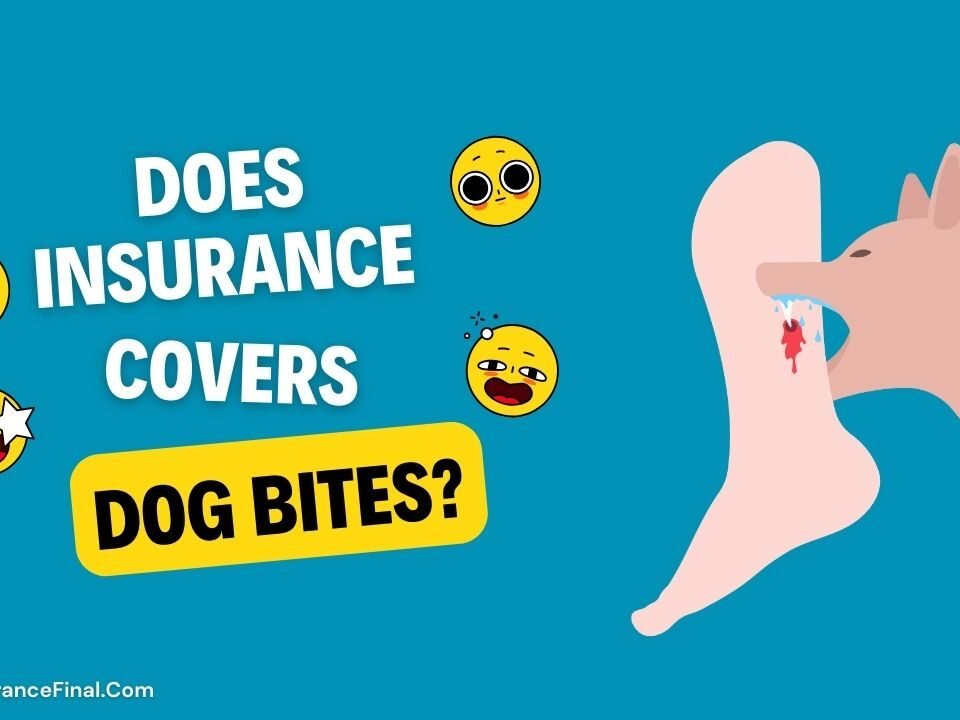 Does Insurance Cover Dog Bites in USA