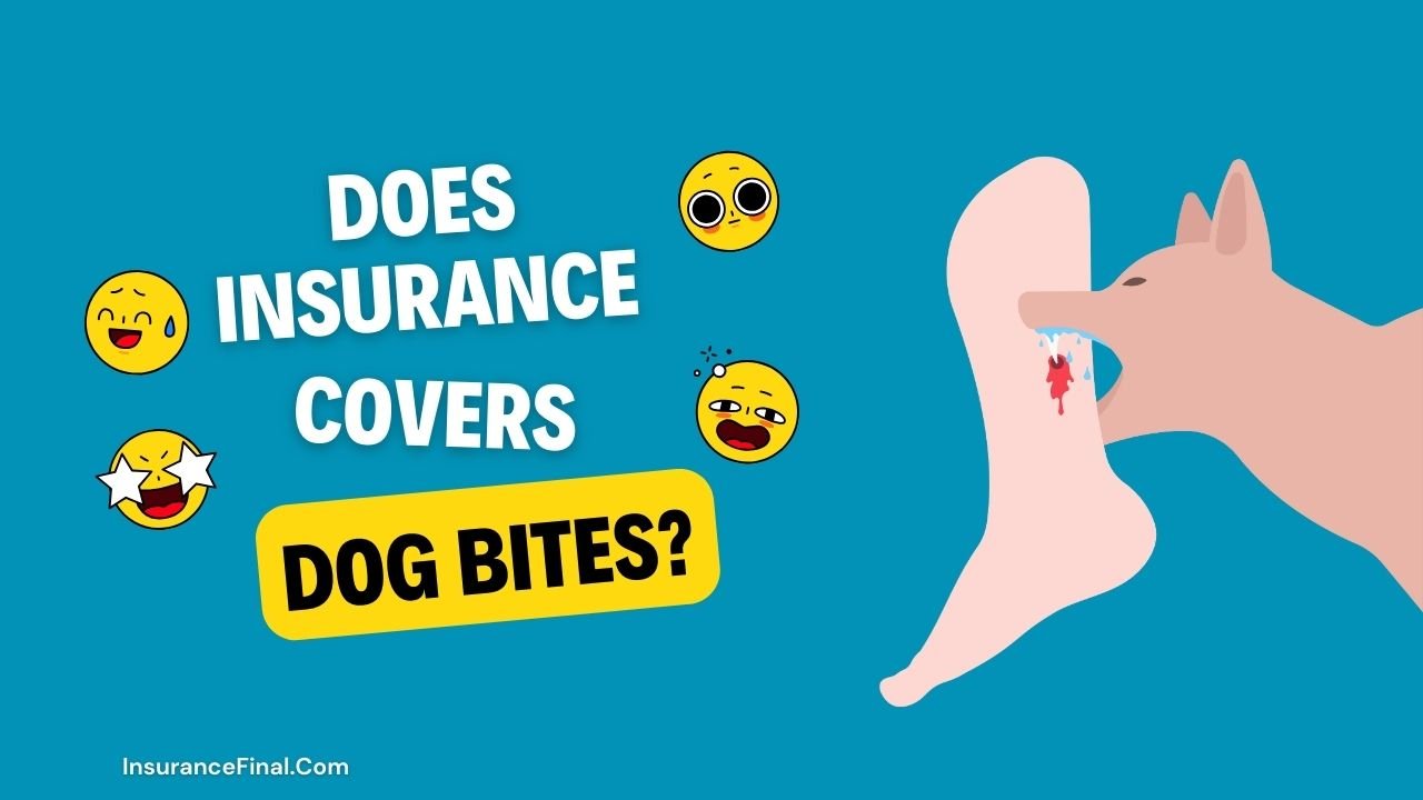 Does Insurance Cover Dog Bites in USA