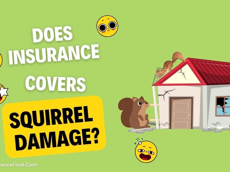 Does Insurance cover Squirrel damage in USA