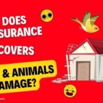 Does homeowners insurance cover birds and animals damage