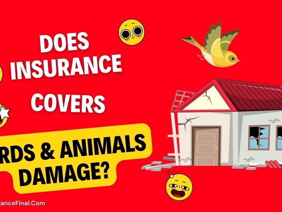 Does homeowners insurance cover birds and animals damage