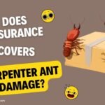 Does insurance Cover Carpenter Ant Damage